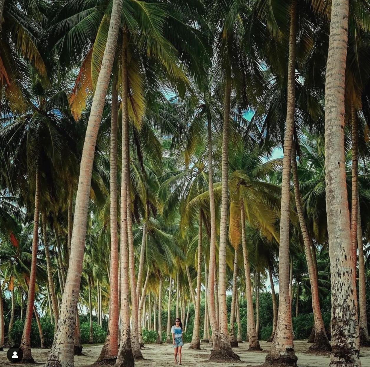 Suffix Retreat - Stay, Dive & Explore Fuvahmulah Exterior foto